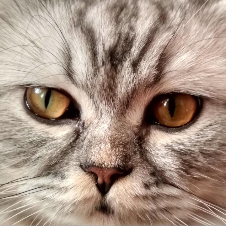 qggruxm что за прошивка. Смотреть фото qggruxm что за прошивка. Смотреть картинку qggruxm что за прошивка. Картинка про qggruxm что за прошивка. Фото qggruxm что за прошивка